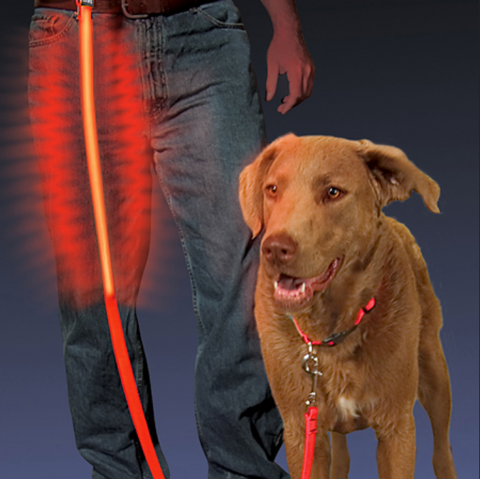 NITE IZE Nite Dawg® LED Dog Leash Red