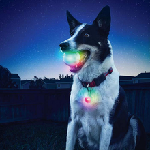 NITE IZE GlowStreak LED Dog Ball and Spotlit LED