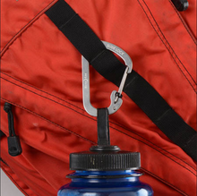 Nite-Ize-carabiner_slide_lock_stainless2_S63DG0CNQJC2.png