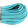 Atwood Rope USA Paracord 550  - Carolina Blue
